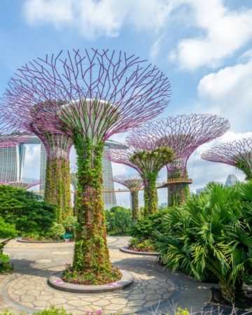 Singapore