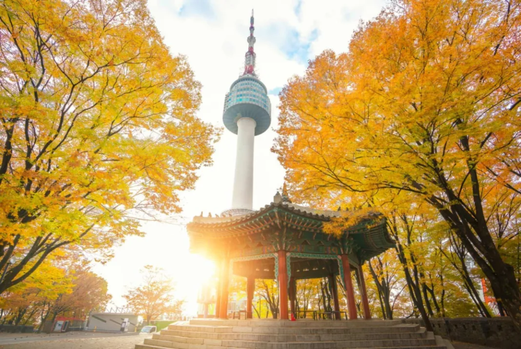 Namsan Tower Seoul view