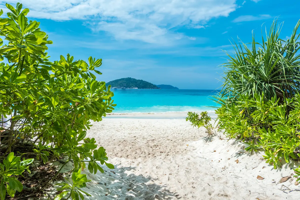 Similan Islands beach with white sand, turquoise water, and tropical greenery framing the shoreline in Thailand