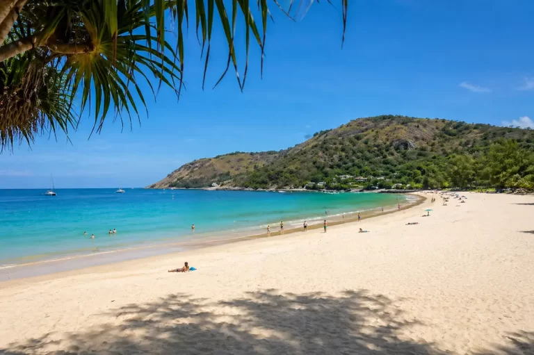 Wide view of Nai Harn Beach Phuket with clear water, sandy shore and hillside backdrop
