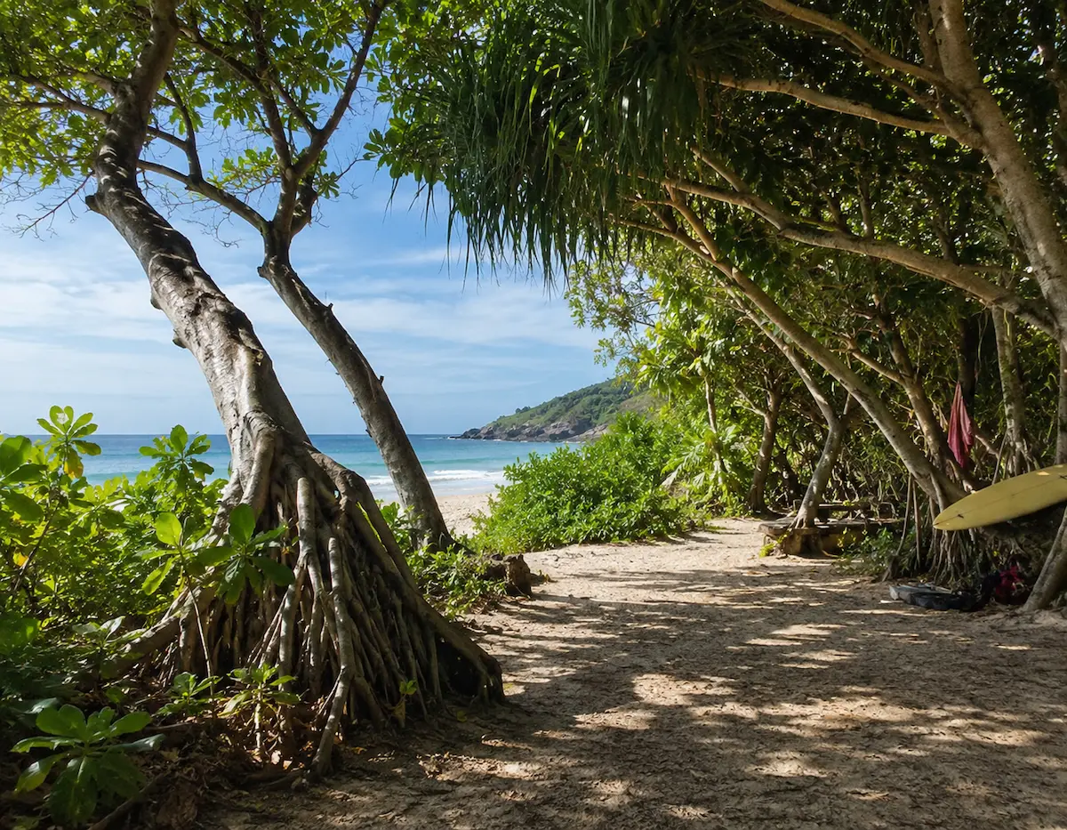 Shaded tropical beach path near Nai Thon Beach in north Phuket