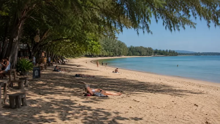 Tree-lined shoreline at Nai Yang Beach Phuket