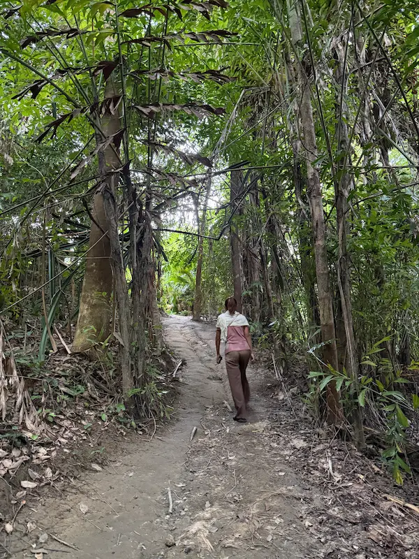 Walking path through jungle to Freedom Beach Phuket