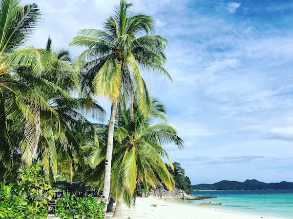 Palawan, Philippines – palm trees beside a white-sand beach and turquoise tropical sea